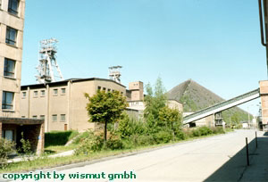 paitzdorf11.jpg